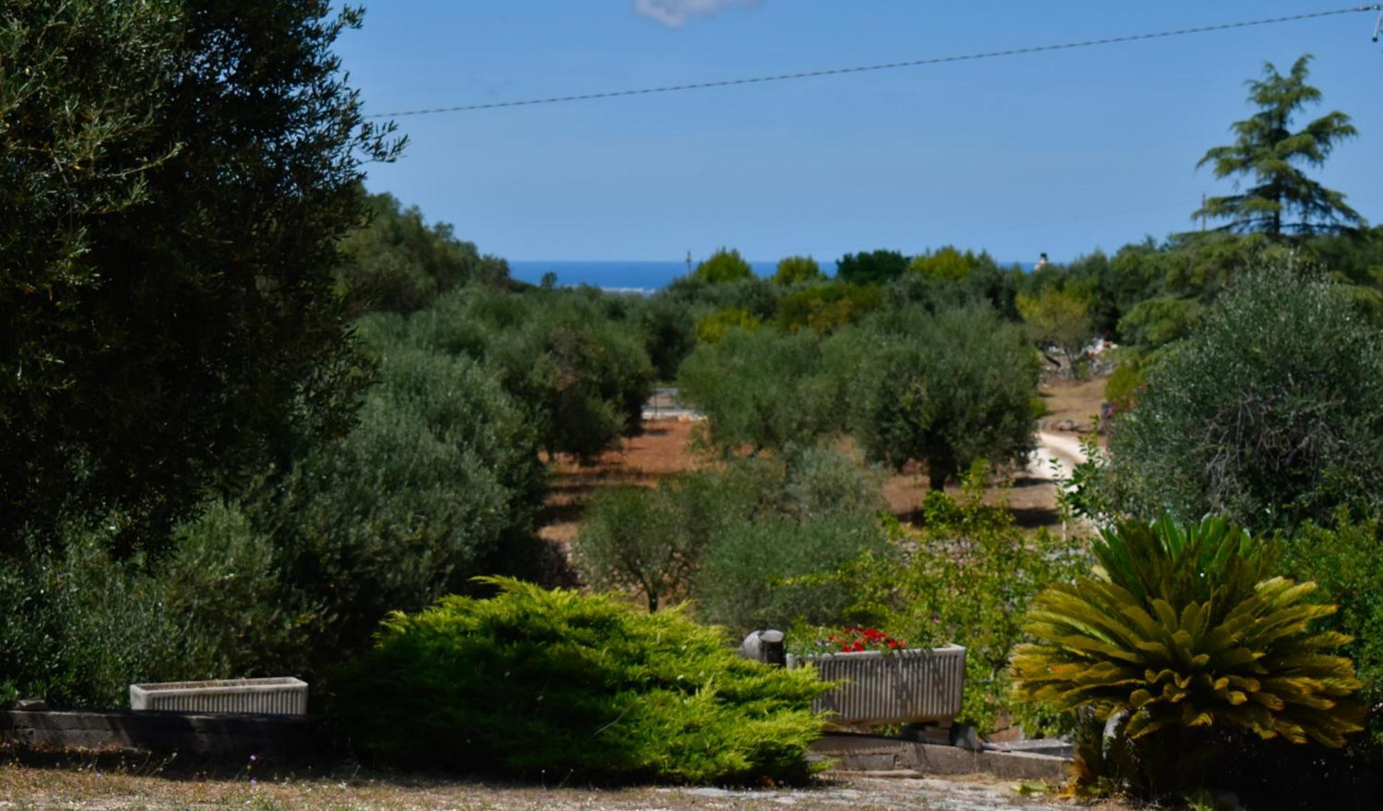 Terre D'Amore - For Couples Hotel Ostuni Exterior foto