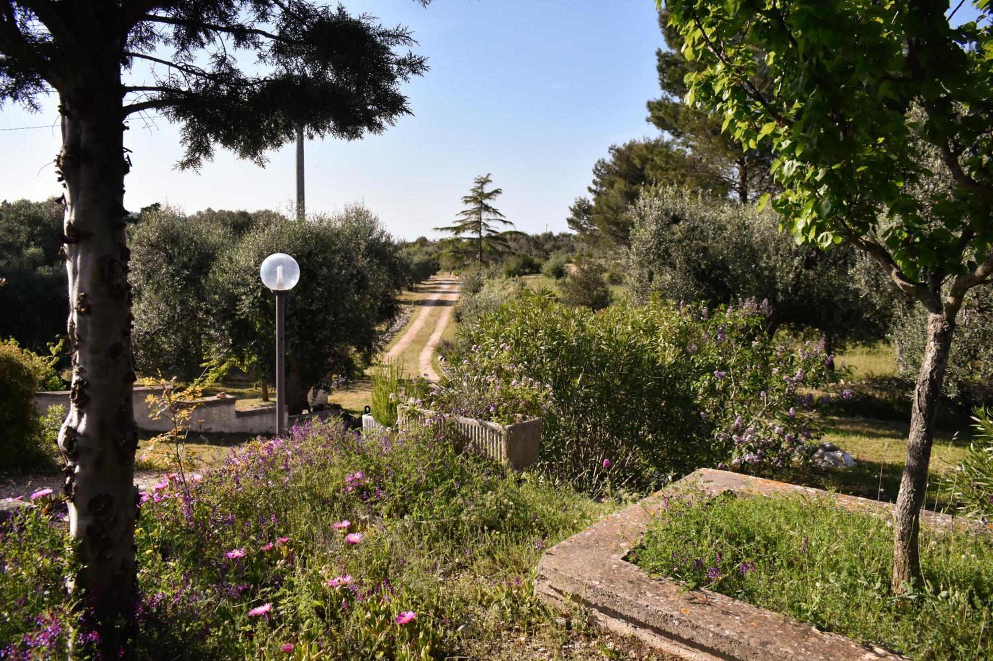 Terre D'Amore - For Couples Hotel Ostuni Exterior foto